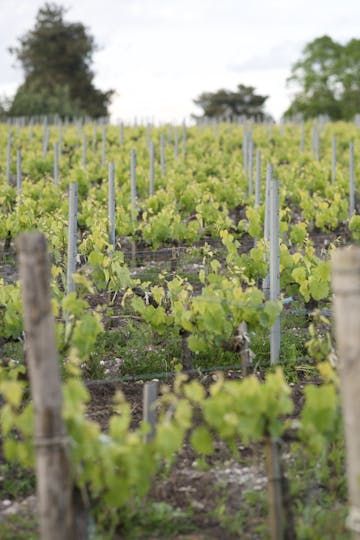 Château Branas Grand Poujeaux